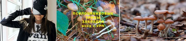 экстази Белоозёрский