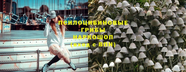 МДПВ Богородск