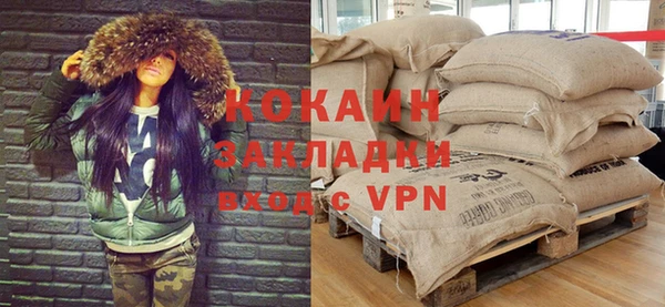 мдпв Богородицк