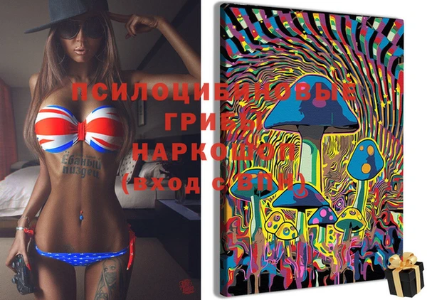ешки Белокуриха