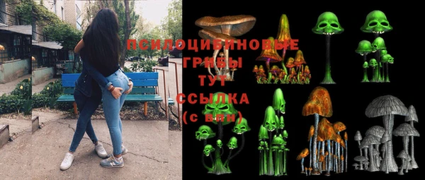 прущая мука Богданович