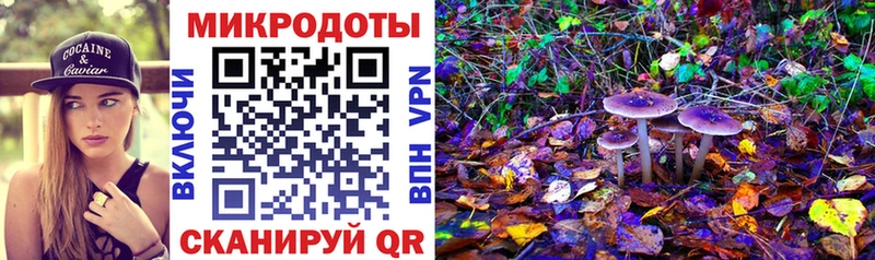 что такое   Оха  Псилоцибиновые грибы Psilocybine cubensis 
